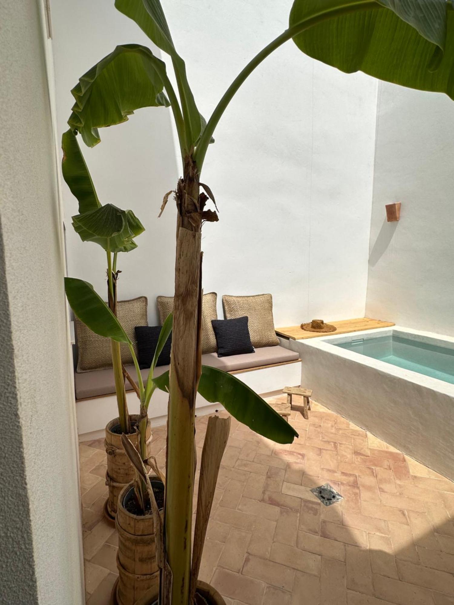Casa Meua Vakantiehuis *